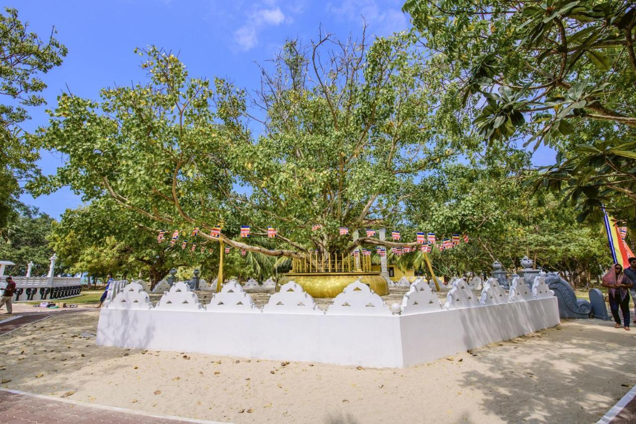 Hotel Thambu Illam Jaffna Exterior foto